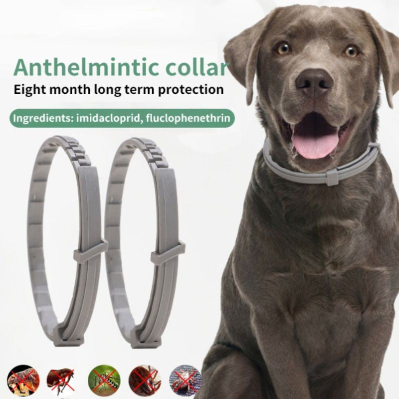 Insect Repellent Pet Collar Dach Everywhere