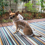 Load image into Gallery viewer, Dach Everywhere™ Transparent Dog Raincoat
