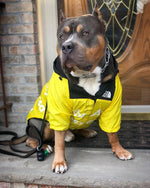Load image into Gallery viewer, The Ultimate Dog Windbreaker
