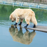 Load image into Gallery viewer, GripPaws: Outdoor Canine Footwear
