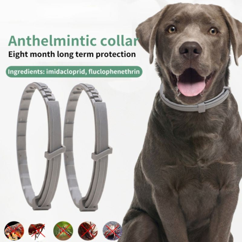 Insect Repellent Pet Collar