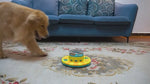 Load and play video in Gallery viewer, 2-Level Interactive Puzzle Pet Toy
