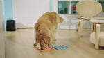 Load and play video in Gallery viewer, Dach Everywhere™ Pet Licking Mat for slow feeding
