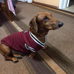Load image into Gallery viewer, College Style Pet Winter Sweater
