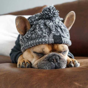 Cute Dog Polar Pom Pom Knit Hat