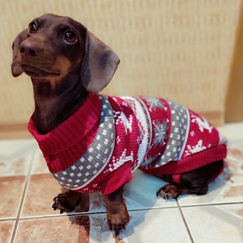 Dach Everywhere™ Cute Pullover Winter Dog Sweater