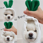 Load image into Gallery viewer, Dach Everywhere™ Cute &amp; Colorful Dog Costume
