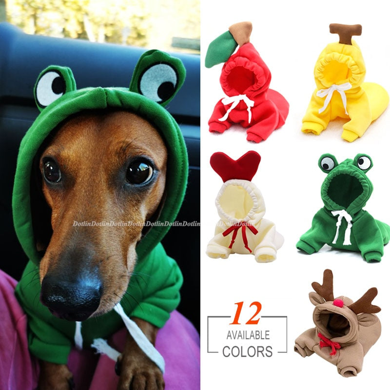 Dach Everywhere™ Cute & Colorful Dog Costume