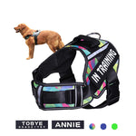 Load image into Gallery viewer, Personalized Adjustable Dog Harness
