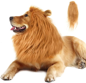 Dach Everywhere™ Lion Mane Dog Costume