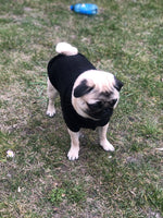 Load image into Gallery viewer, Cute Pullover Sweater for Small and Medium Dogs
