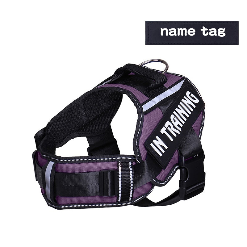 Personalized Adjustable Dog Harness