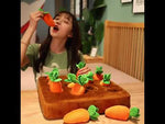 Load and play video in Gallery viewer, Plush Carrot Field Pull Toy
