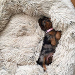 Load image into Gallery viewer, Dach Everywhere™ Cozy Cuddler Bed
