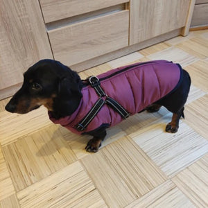 Waterproof Dog Winter Jacket With Harness