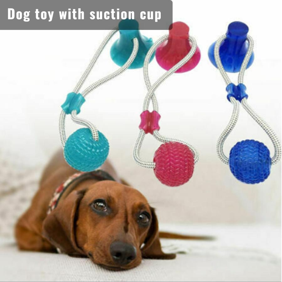 Dach Everywhere™ Dog Tug Toy