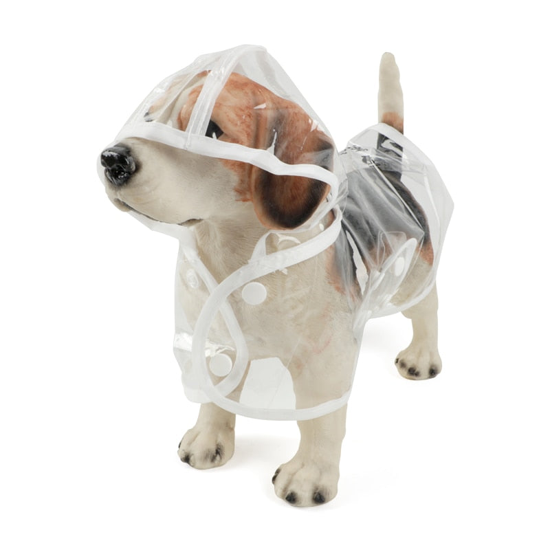 Dach Everywhere™ Transparent Dog Raincoat