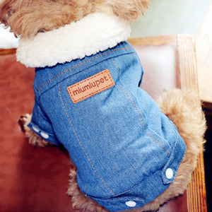 Dog Winter Denim Jacket