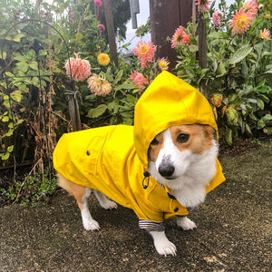 Stylish Waterproof Dog Jacket & Windbreaker