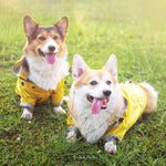 Load image into Gallery viewer, Stylish Waterproof Dog Jacket &amp; Windbreaker
