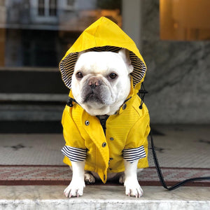 Stylish Waterproof Dog Jacket & Windbreaker