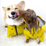 Load image into Gallery viewer, Stylish Waterproof Dog Jacket &amp; Windbreaker
