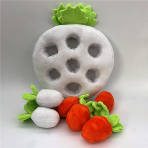 Plush Carrot Field Pull Toy