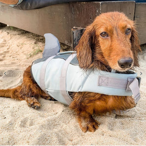 Shark & Mermaid Dog Life Jacket